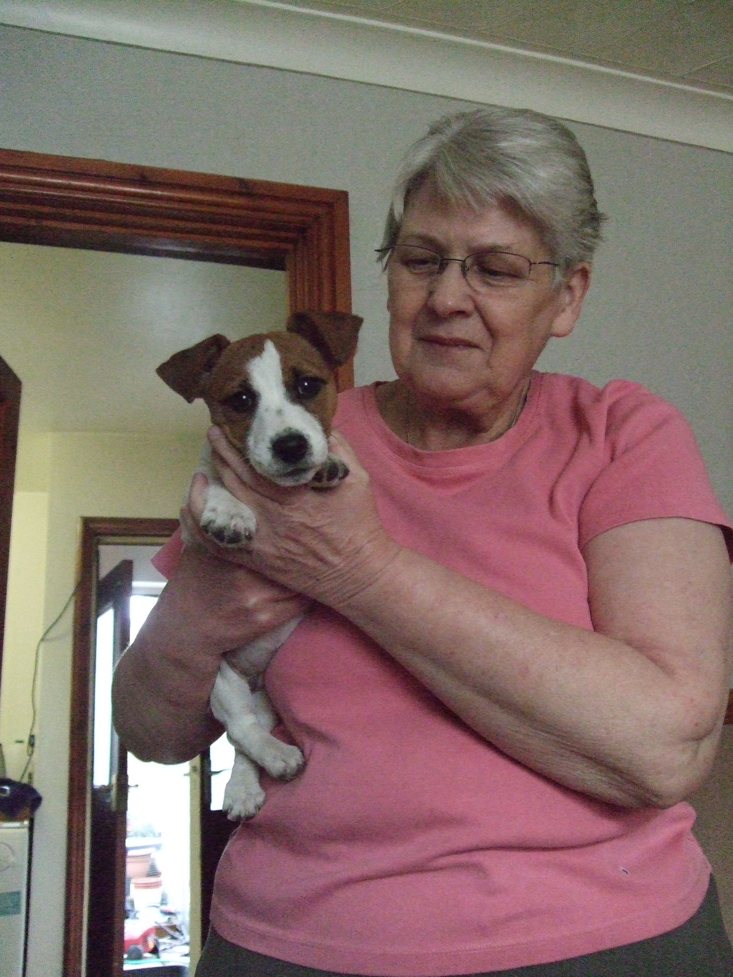 #4 20th April 2010 Does a dog bite hurt?